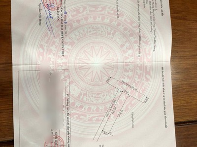 Chính chủ cần ra lô đất tại lão phú, tân phong, kiến thụy, hải phòng. 4