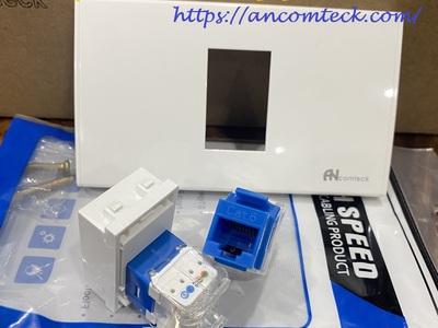 Nhân đấu nối RJ45 âm tường CAT6 UTP Shielded không chống nhiễu ACT-JK28-C6-US Ancomteck 4