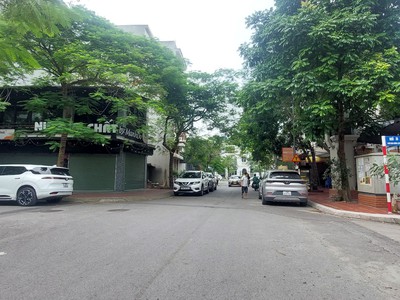 Mặt phố, phân lô đấu giá việt hưng, diện tích 80m2, mặt tiền 6m, vị trí đỉnh. 1