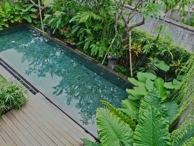 Dịch vụ cải tạo sân vườn, thi công vườn xanh tại TPHCM, Đồng Nai 0