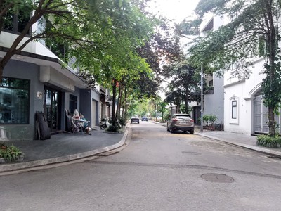 Mặt phố, phân lô đấu giá việt hưng, diện tích 80m2, mặt tiền 6m, vị trí đỉnh. 2