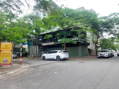 Mặt phố, phân lô đấu giá việt hưng, diện tích 80m2, mặt tiền 6m, vị trí đỉnh. 3