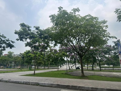 Bán đất mặt đường Nguyễn Bình Khiêm, Đông Nam Cường, TP HD, 68m2, view công viên 1