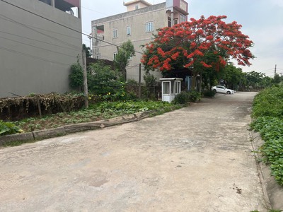 Bán đất Tiền Phong, Mê Linh, HN, lô góc, 2 mặt thoáng hướng ra khu đô thị. DT 100m, giá 4,5 tỷ. 2