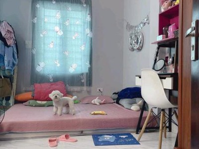 Bán gấp căn nhà 46m2 ngõ 111 phố Triều Khúc Thanh Trì Hà Nội giá 6,9 tỷ 0