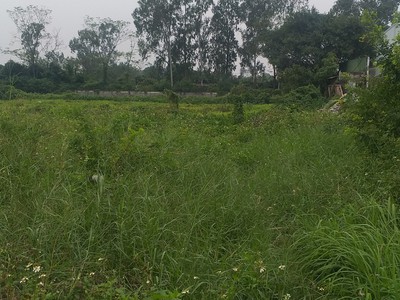 Bán 3ha đất công nghiệp tại văn giang, hưng yên. cách mặt đường 379 khoảng 300m 0