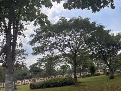 Bán nền đất huyệt mộ các loại trong Nghĩa trang Hoa Viên Bình An 0