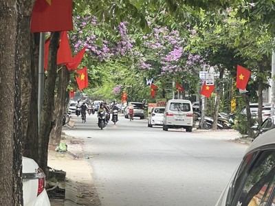 Bán lô đất siêu đẹp mặt đường trực cát , ngang 6m , vị trí đẹp kinh doanh cực tốt 0