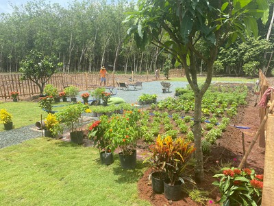 Bán đất tặng vườn ngay TTHC Hớn Quản 2