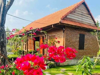 Hot..hot.. bán farm nghỉ dưỡng tuyệt đẹp 1