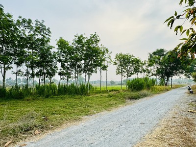 Tin thật: đất củ chi 139m2 full thổ cư 599tr. đường 6 mét thông thoáng 0