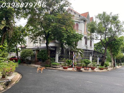 Chính chủ gởi bán siêu biệt thự quận 7,cạnh  phú mỹ hưng 240 m2 ,8 pn 0