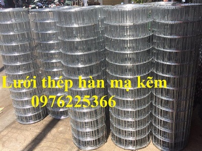 Lưới hàn mạ kẽm 3