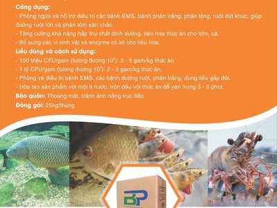 Men vi sinh tiêu hóa cao cấp cho thủy sản 0