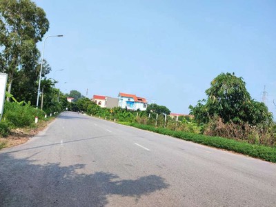 Đất mặt đường tỉnh lộ 281 thứa   kênh vàng  bắc ninh,huyện lương tài 2