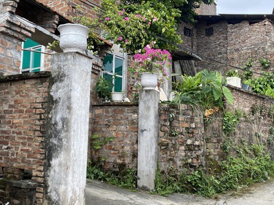 Chính chủ bán đất 331m2, giá 43tr/m2 tại đường bát tràng, gia lâm, hà nội 3