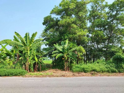 Đất mặt đường tỉnh lộ 281 thứa   kênh vàng  bắc ninh,huyện lương tài 3