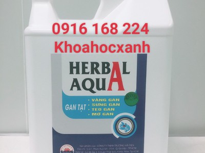 HERBAL AQUA _ gan tạt thảo dược 0