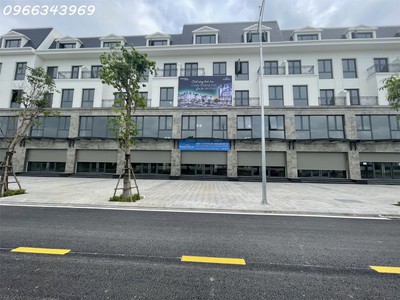 Shophouse central riverside,  đại lộ  67m, vỉa hè 11m. ck 30  4. lãi 0 ân hạn gốc 18 tháng. 4