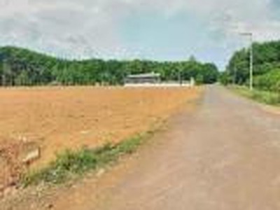 Có NGÂN HÀNG hỗ trợ 50 . đầu tư đất Bình Dương 290m2 có tc ,sổ sẳn chỉ 500tr 0