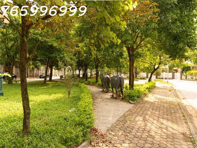 Biệt thự 86 tỷ: 500m2 x 3t x 2 mặt tiền tại làng việt kiều châu âu, mỗ lao 2