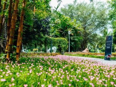 Cháy hàng đợt đầu mở bán với siêu phẩm đầu tư để ở the fibonan thành phố triệu cây - htls 24th 2
