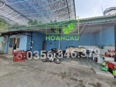 Bán đất tặng luôn 2 căn nhà, cách phà Cát Lái chỉ 6km, giá cực tốt 4