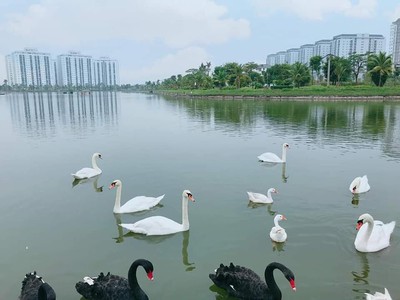 Chính chủ bán CHCC 62m toà HH02D KDT Thanh Hà, Hà Đông 0