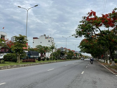 Bán đất mặt đường 353 Phạm Văn Đồng, Tân Thành, Dương Kinh, Hải Phòng 4