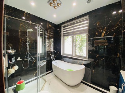 Cực hiếm Song lập Tulip mẫu lớn 186m2 Hướng Đông Nam Bên Hồ Vinhomes The Harmony 2