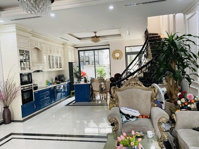 Cực hiếm Song lập Tulip mẫu lớn 186m2 Hướng Đông Nam Bên Hồ Vinhomes The Harmony 3