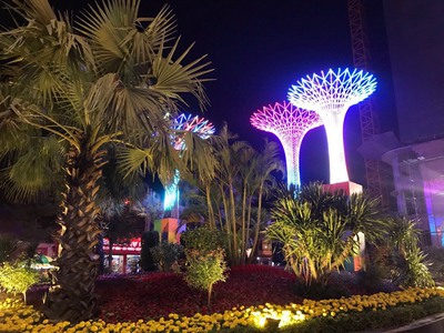 Vui vui Đầu tư 800tr vào căn hộ Tecco Thái Nguyên sau 2 năm lãi 200tr, HTLS 0 trong 24 tháng 13