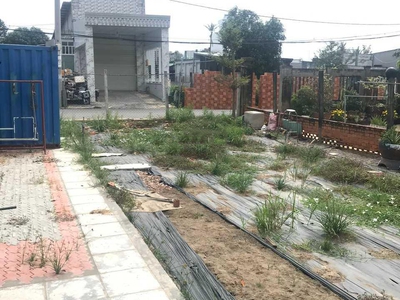 Bán đất ont tặng kho sổ riêng mặt tiền giá tốt nhất khu vực bình khánh-cần giờ 3