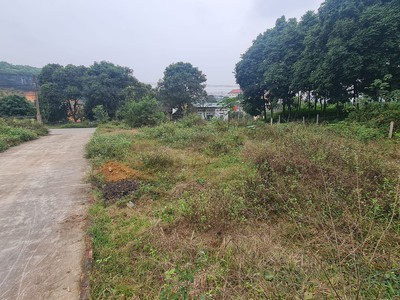 Chính Chủ Bán Ô Đất Trung Tâm Phú Hộ Cách Cổng Phụ Phú Hà Chỉ 2km 3