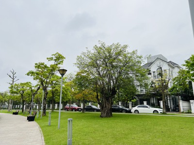 Chính Chủ Nhượng Lại Biệt thự Song Lập full NT 185.6m2 Khu Hồ Tuy Lip Vinhomes Riverside The Harmony 3