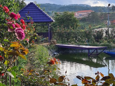 Bán 7100m2 khu đất homestay, đối diện KQH sân golf   TTTM, 27 TỈ 5