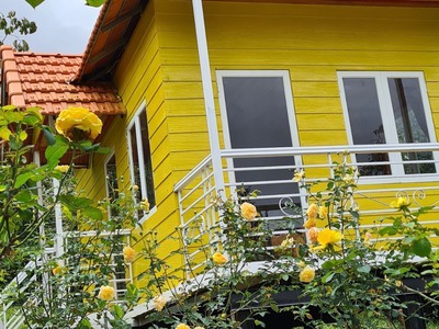 Bán 7100m2 khu đất homestay, đối diện KQH sân golf   TTTM, 27 TỈ 7