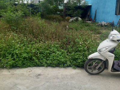 10 Bán đất Hòa Phước, Đà Nẵng: đường bê tông ô tô 130m2 gần trường học 2