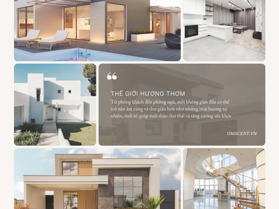 Sử dụng máy khuếch tán tinh dầu có tốt không   Ngày đăng: 30/05/2024 05:14 PM 0