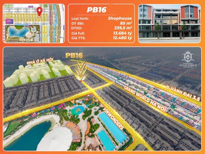 Cực hiếm căn phố biển 16 biệt thự liền kề nằm trên trục đường thông ra cụm 50 tòa chung cư 1