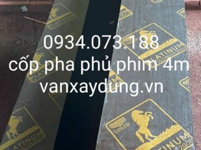 Ván ép phủ phim gái rẻ về công trifh Châu Đức, Phú Mỹ, BRVT 2