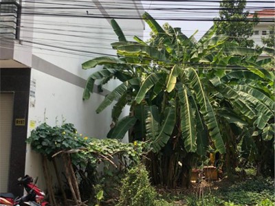 Bán lô đất d2d võ thị sáu biên hoà đồng nai 2