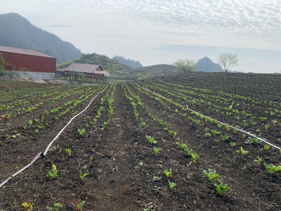Bán mảnh đất đẹp nhất Tà Số, Mộc Châu có sẵn thổ cư 3