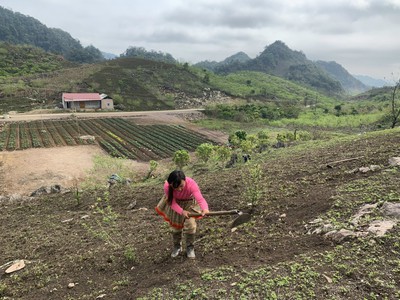 Bán mảnh đất đẹp nhất Tà Số, Mộc Châu có sẵn thổ cư 4