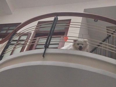 ♪gần nguyễn tất thành thông đinh tiên hoàng, 120m2, 3 mê cực chất,  30tr/m2 1