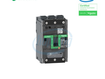 Tìm hiểu phạm vi điều chỉnh ở bộ ngắt mạch tự động Schneider C11F6TM032L 0