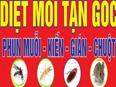 Diệt muỗi nhà hàng Vũng Tàu 0
