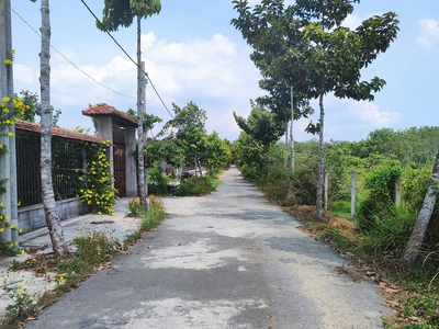 Đất nền cực đẹp giá tốt chính chủ đứng bán ngay 1