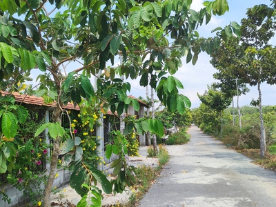 Đất nền cực đẹp giá tốt chính chủ đứng bán ngay 2