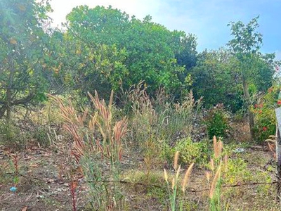 Bán lô đất mặt tiền đường nhựa 20x64 nở hậu 21m. có 80m2 thổ cư. 1